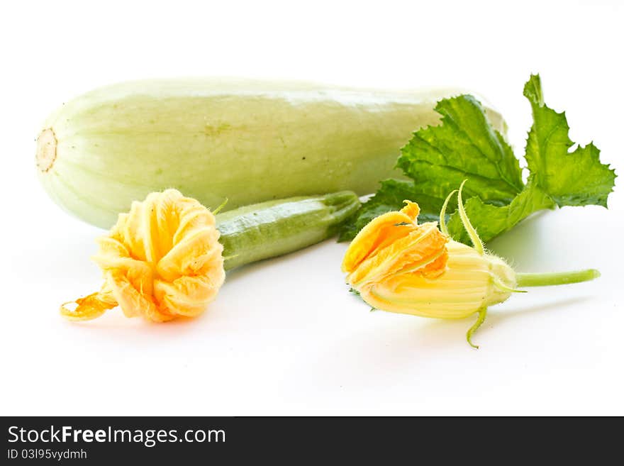 Zucchini flowers and fresh green zucchini