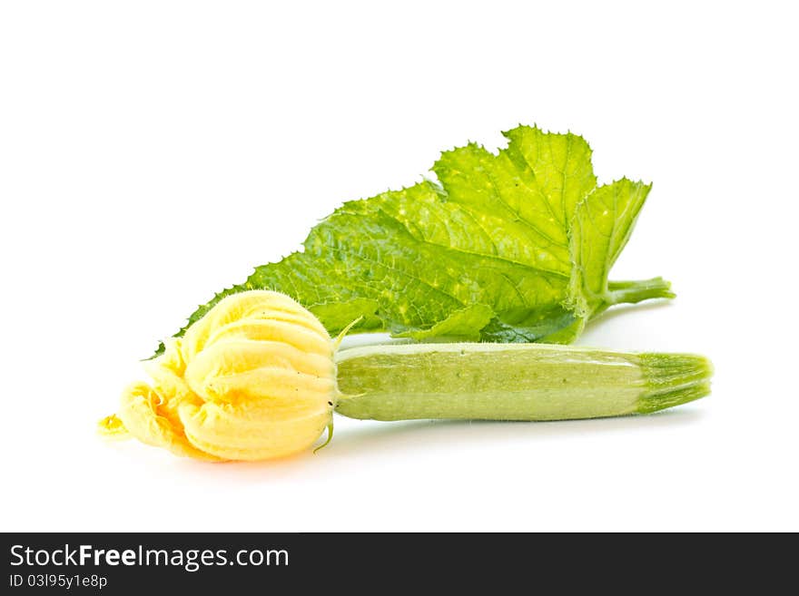 Zucchini flowers and fresh green zucchini