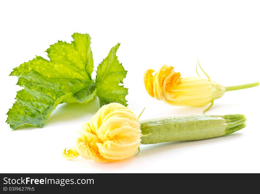 Zucchini flowers and fresh green zucchini