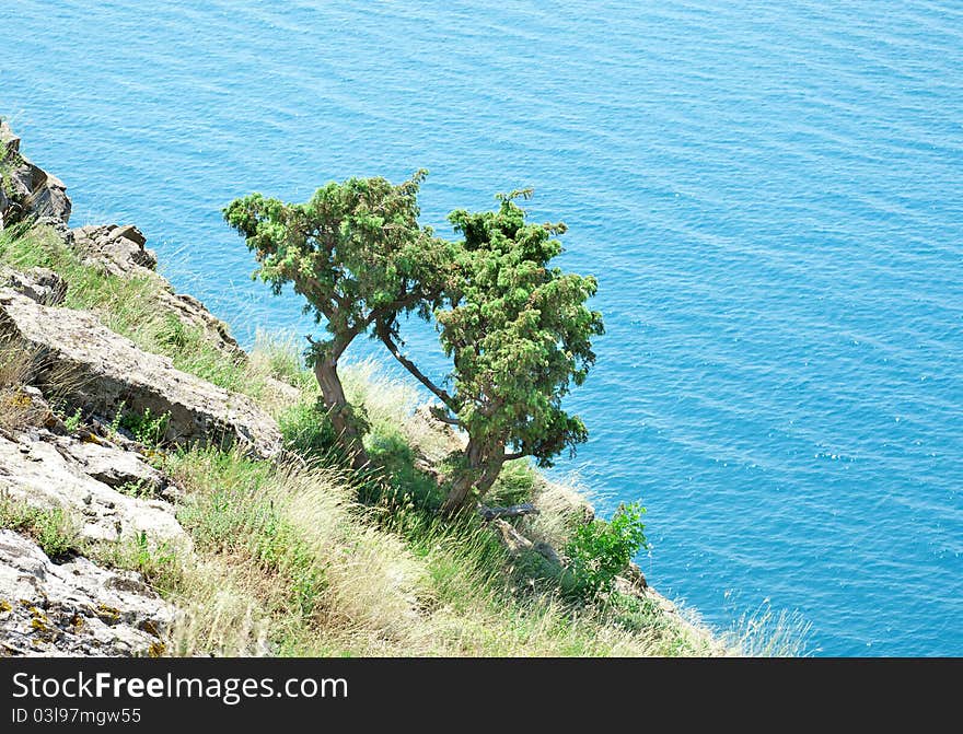 Beautiful rocky hill on the background of the Black Sea. Beautiful rocky hill on the background of the Black Sea