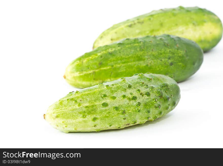 Green cucumber on a white background. Green cucumber on a white background