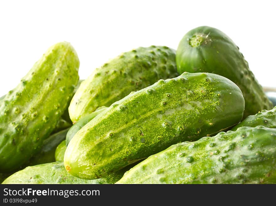 Green cucumber on a white background. Green cucumber on a white background