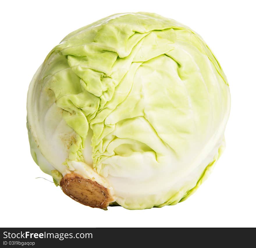 Cabbage Over White Background