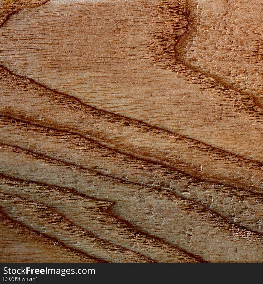 Ash (Fraxinus excelsior) raw wood texture