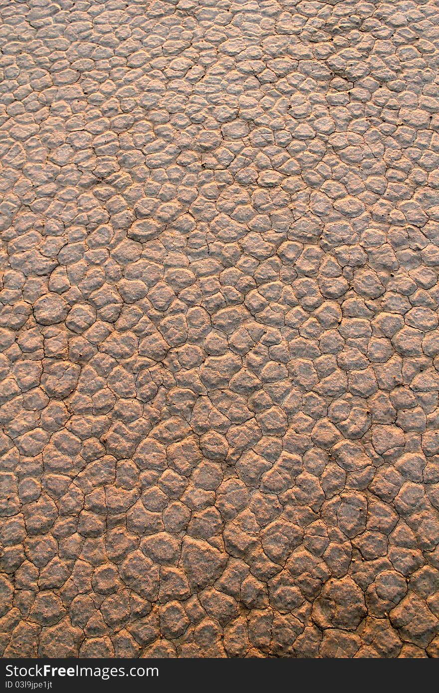 Wadi Rum Desert dry soil detail.