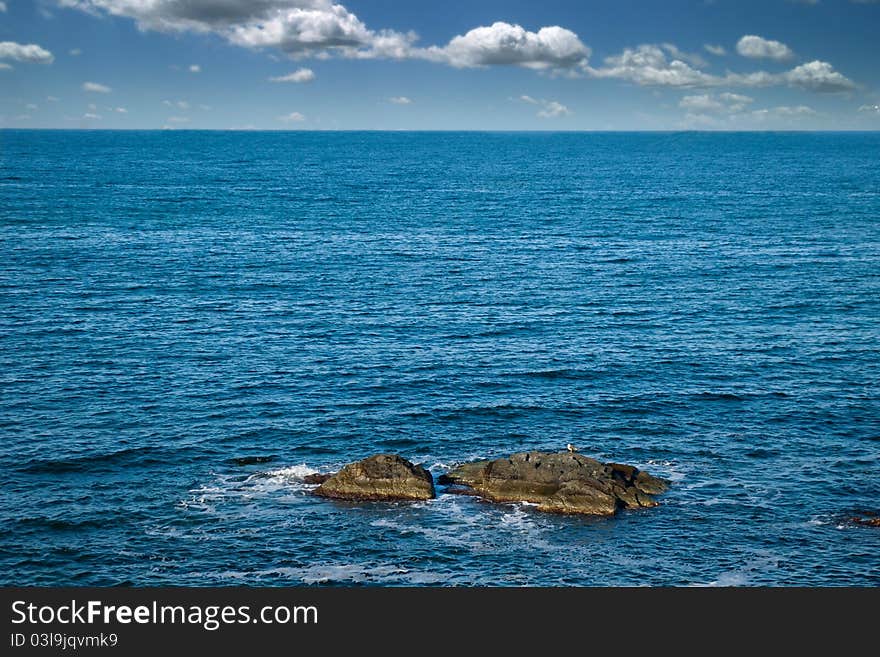 Beautiful seascape with lonely seagull