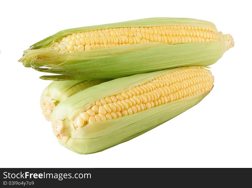 Fresh corn vegetable with green leaves closeup