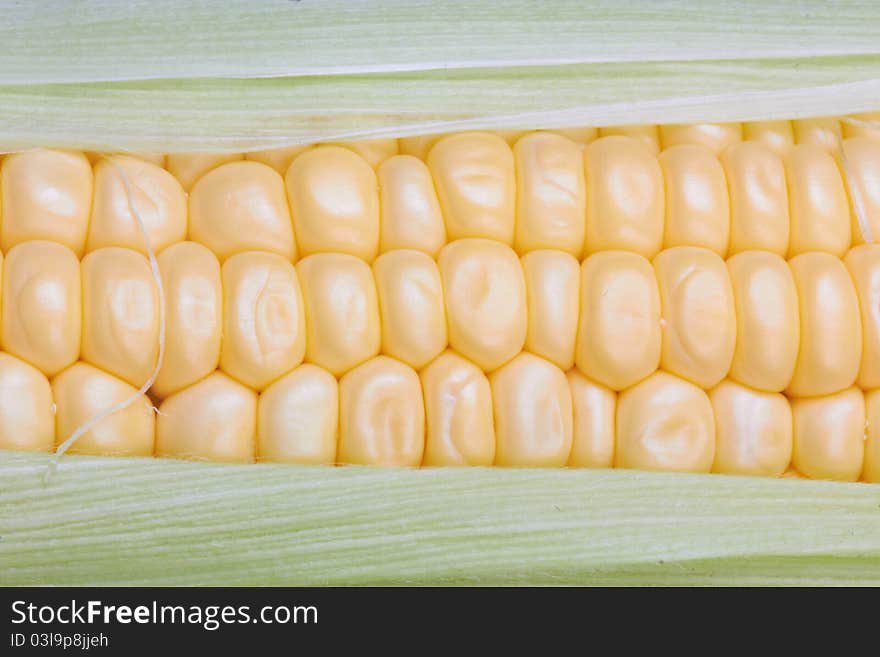 Fresh corn vegetable with green leaves closeup