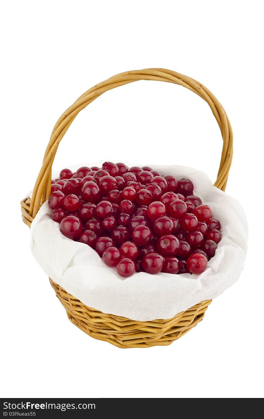 Red Currants in basket