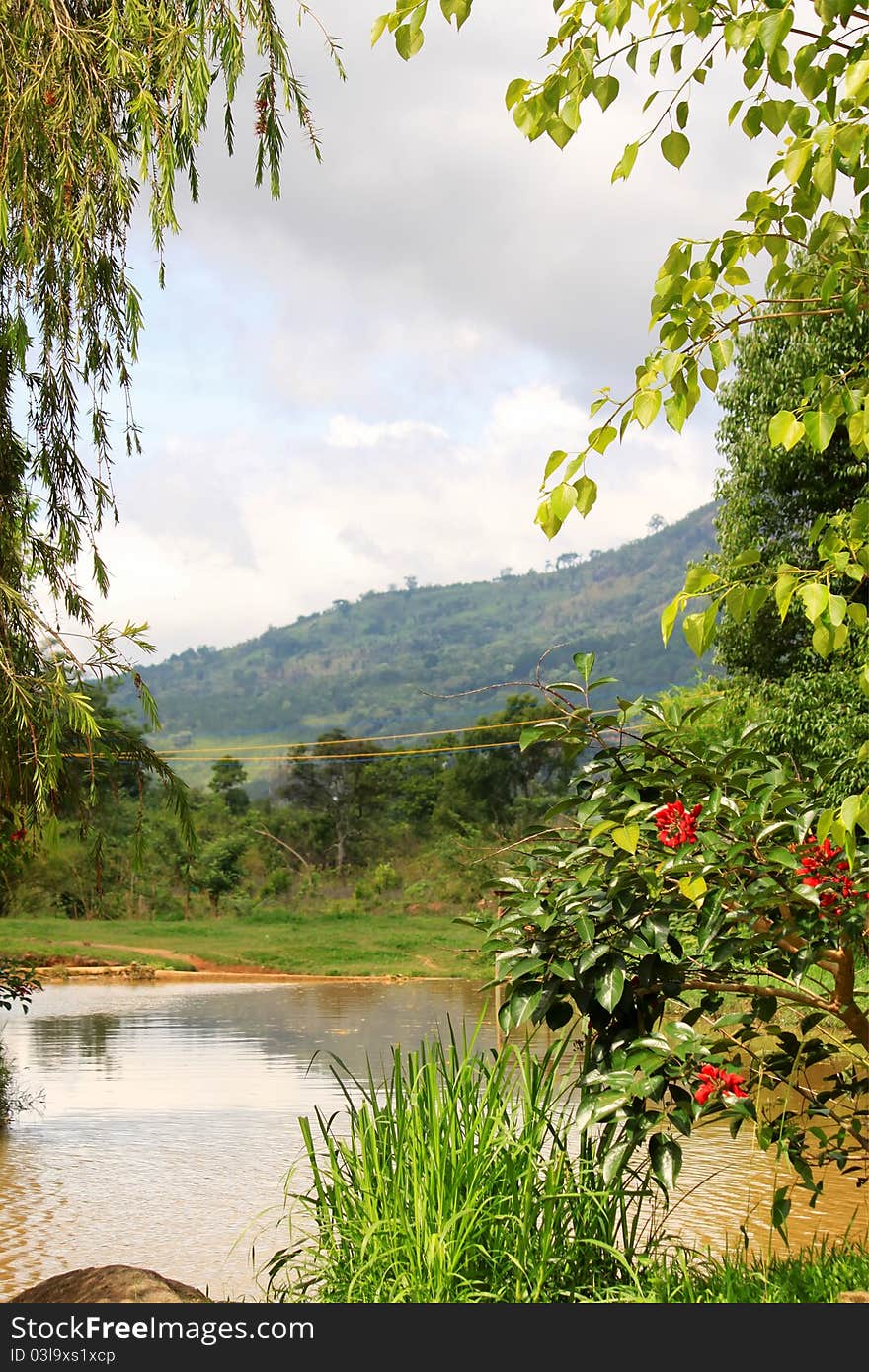 Landscape with river in Vietnam