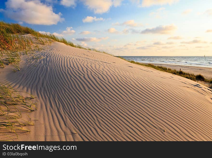 Sand dunes with helmet grass