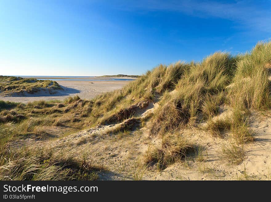 Sand dunes with helmet grass