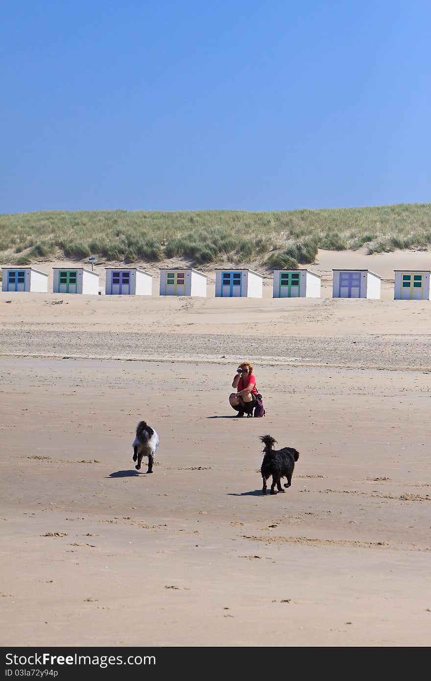 Woman filming her dogs on the beach