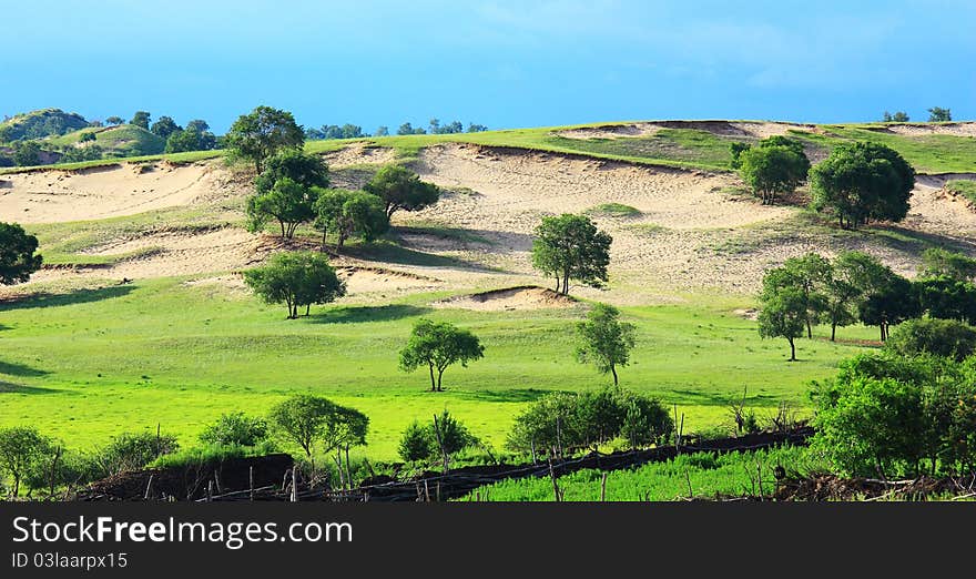 Landscape  of   grassland