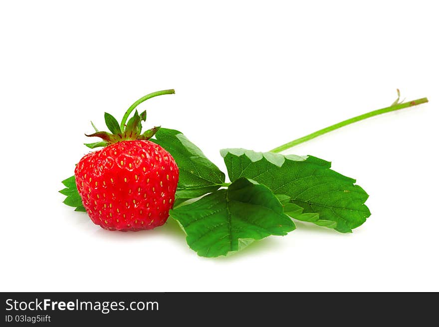 Strawberry isolated on white backgroung