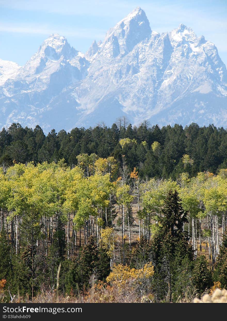 Light haze over Teton Peaks in early fall with aspen stand in foreground. Light haze over Teton Peaks in early fall with aspen stand in foreground.