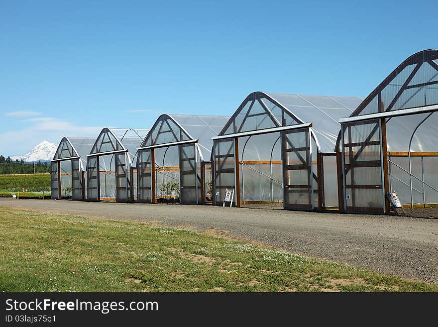 Greenhouses in rural Oregon.