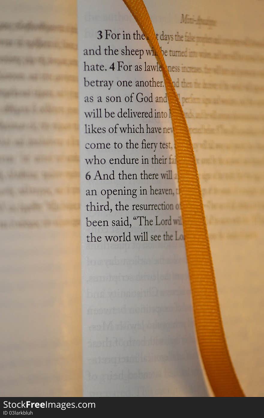 Book with a ribbon Marker