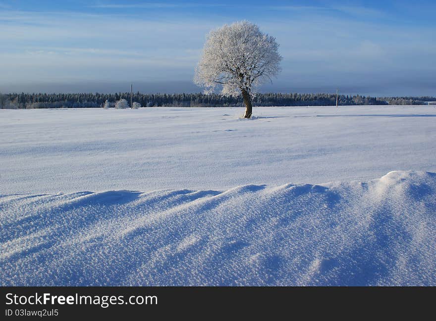 Winter landscape - Russia