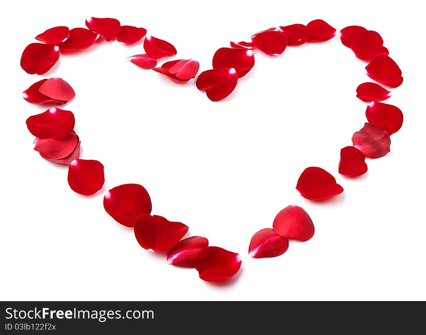 Petals of wild roses in shape of heart isolated on white background