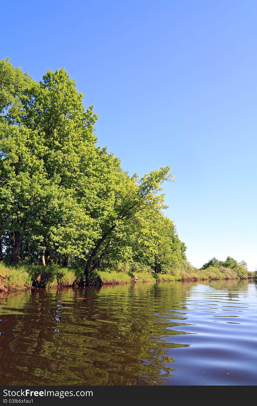 Oak wood on coast river