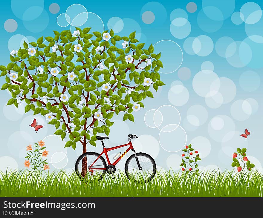 Summer landscape with a bike. Vector illustration.