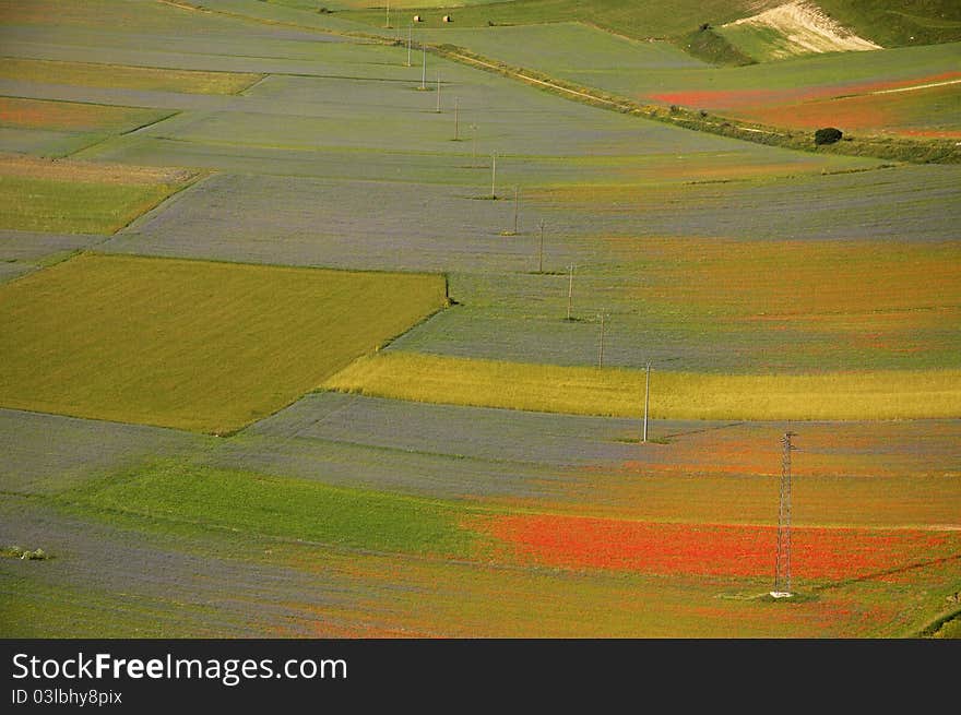 Summer landscape captured near Castelluccio di Norcia. Summer landscape captured near Castelluccio di Norcia.