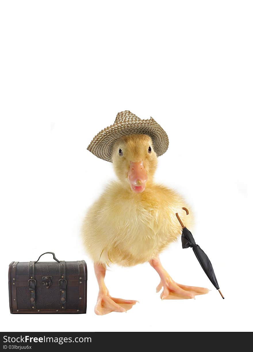 Small duck in straw hat on white background. Small duck in straw hat on white background