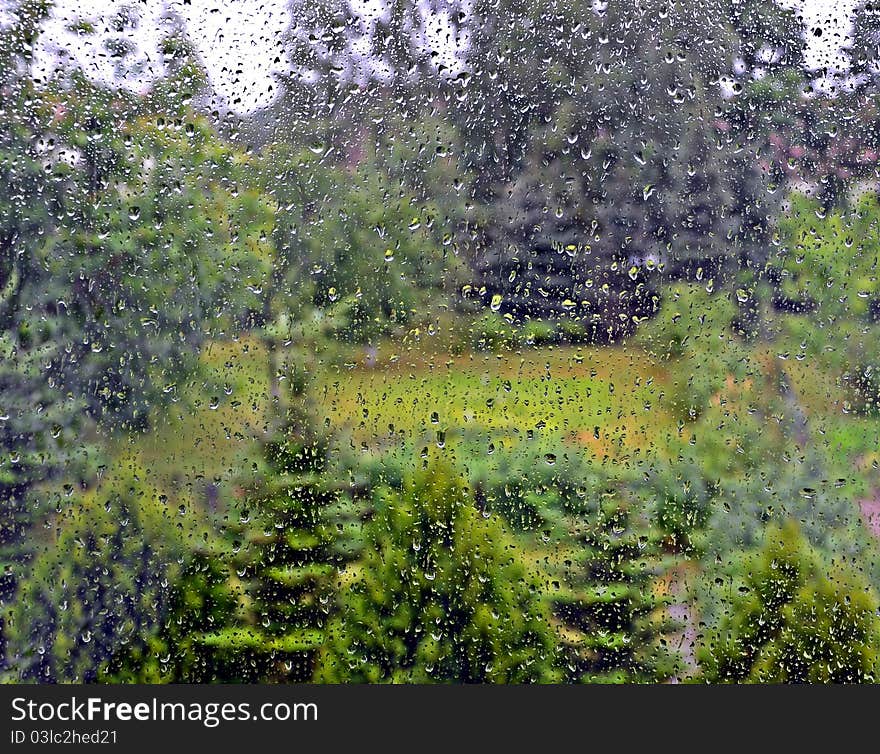 Rainy drops on window