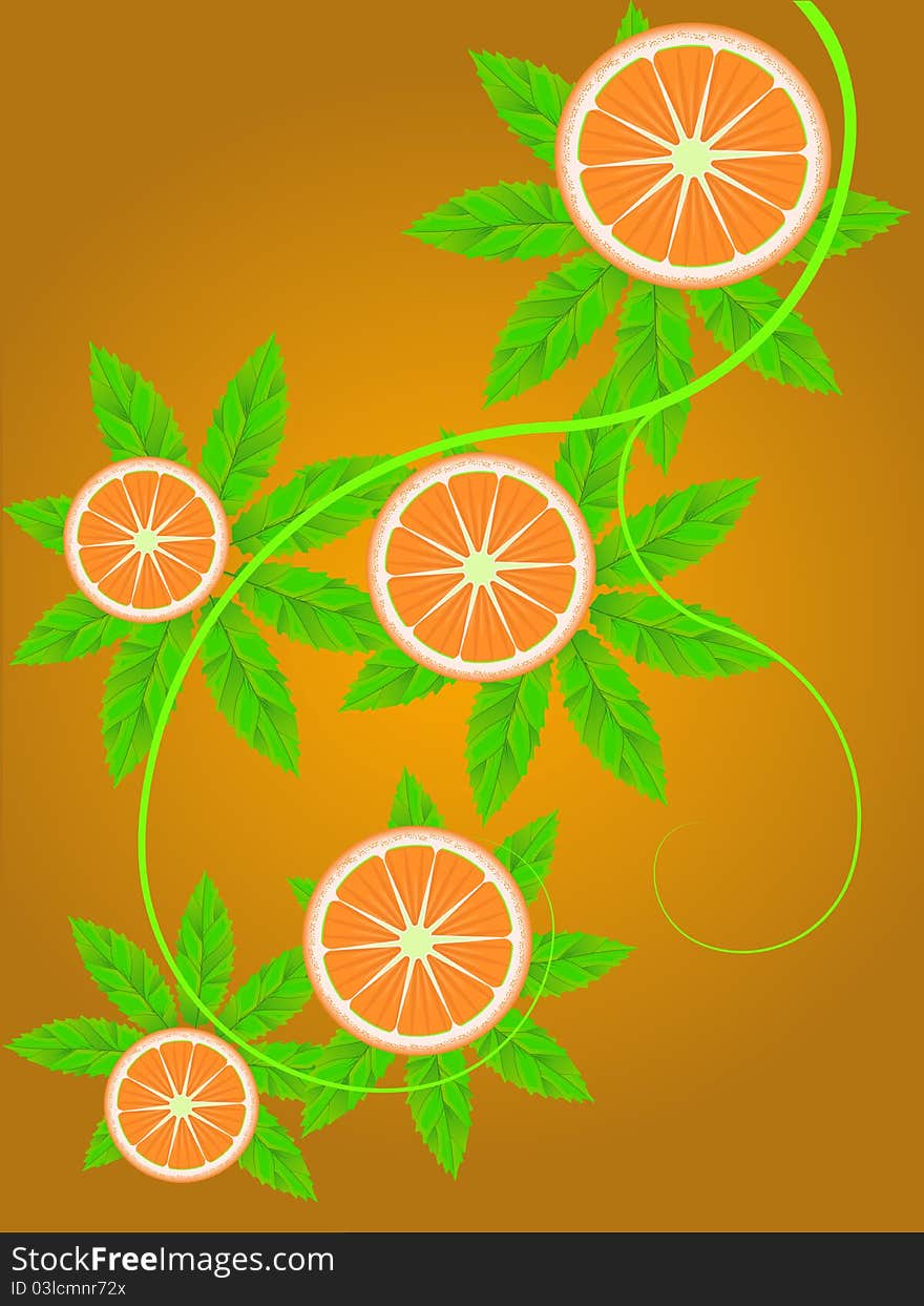 Branch of an orange