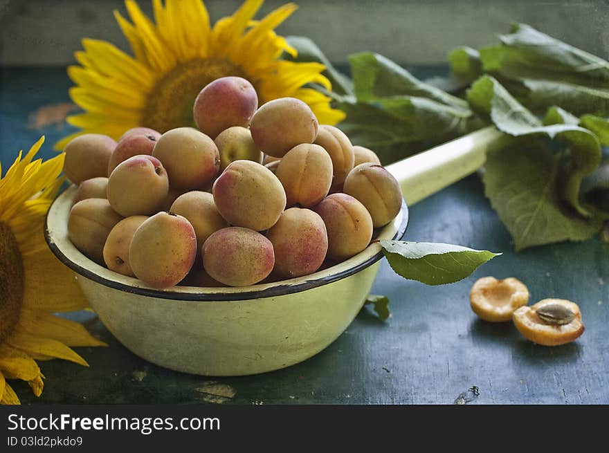 Apricots and sunflower