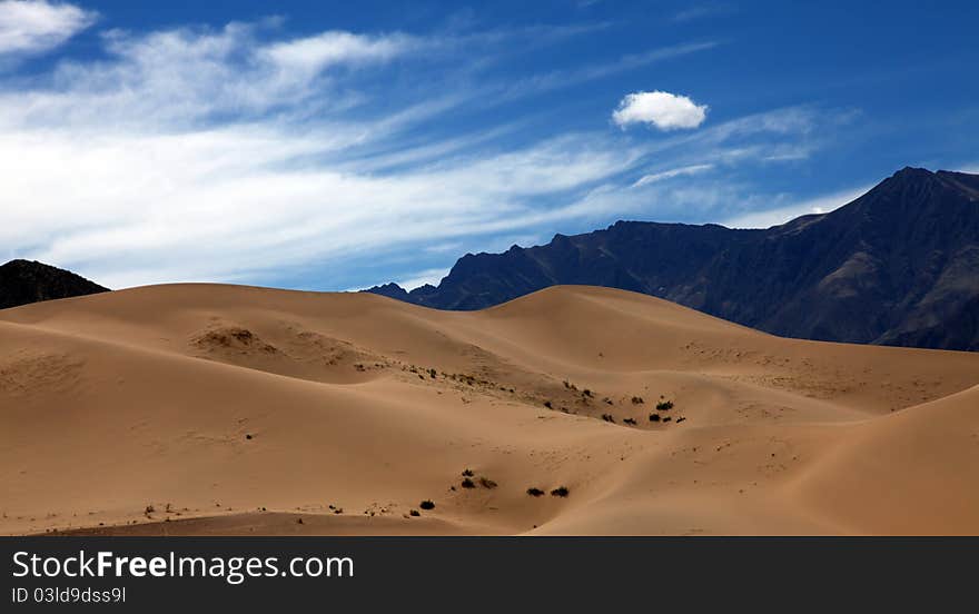 Desertification in the barren Tibetan Plateau