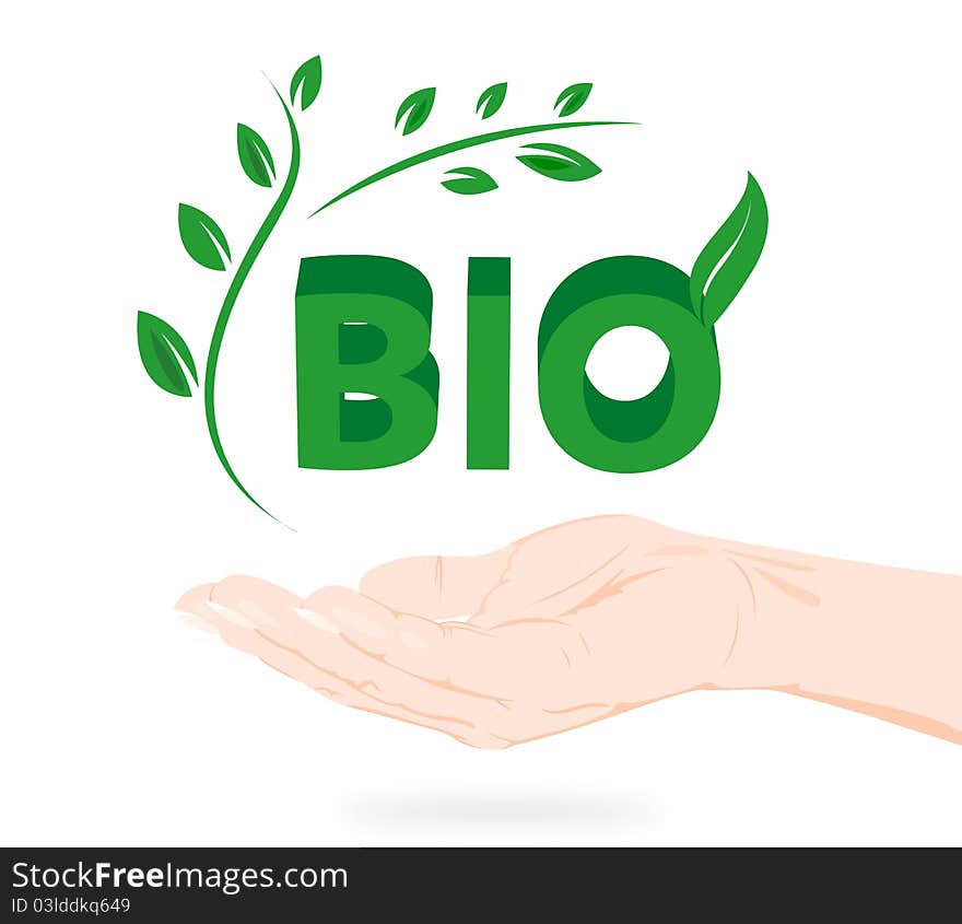 Green bio logo in hand