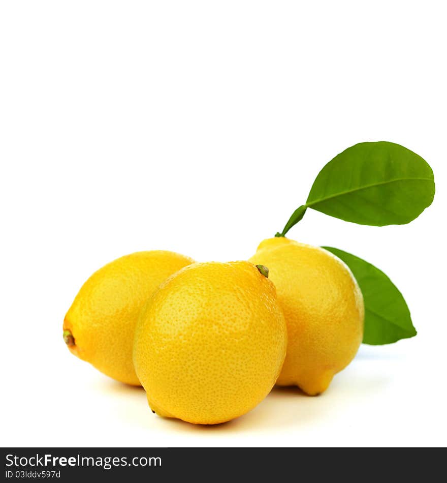 Lemons on white