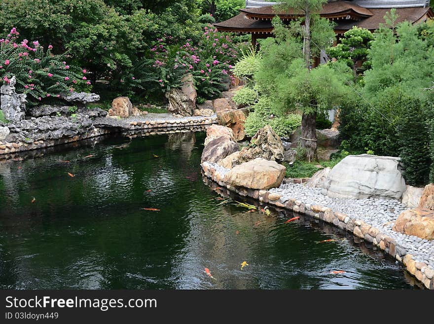 A pool in the Chinese garden in Hong Kong with fishes. A pool in the Chinese garden in Hong Kong with fishes.