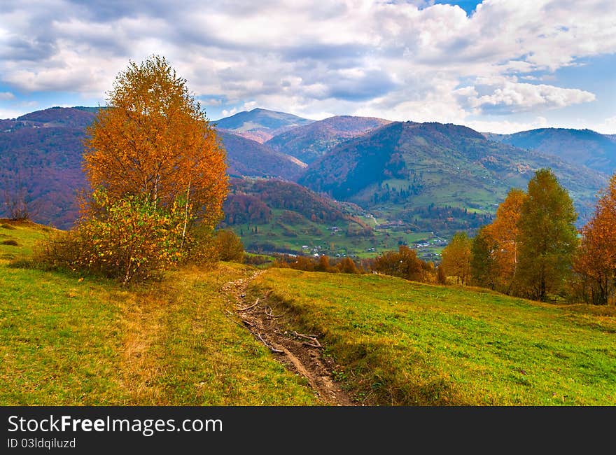 Colorful autumn landscape in the mountains