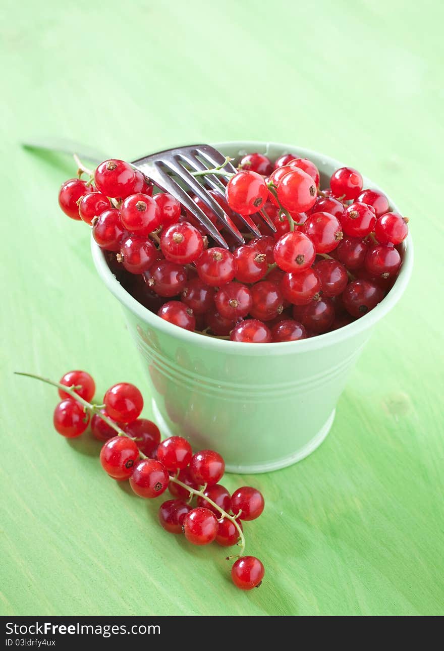 Fresh red currants in a bucket