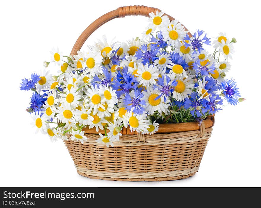 Beautiful flowers in basket isolated on white. Beautiful flowers in basket isolated on white