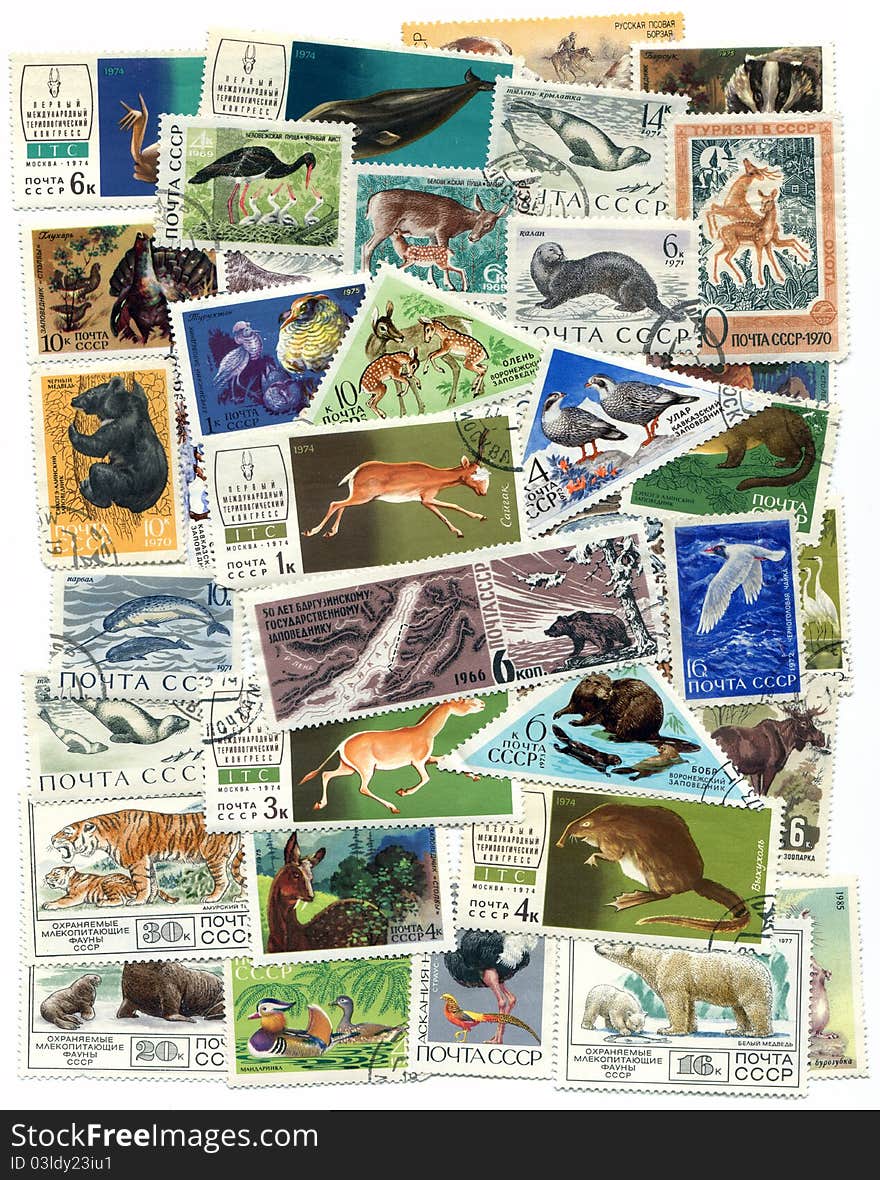 A set of stamps: Animals