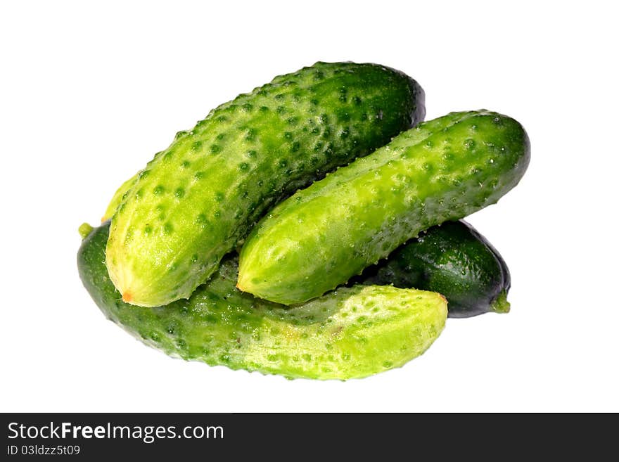 Young Cucumbers