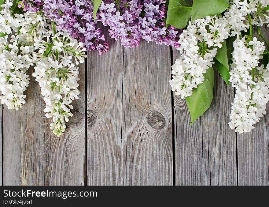 The beautiful lilac on a wooden surface