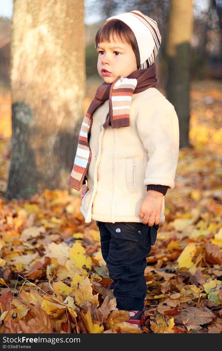 Little boy standing outdoors in the park. Little boy standing outdoors in the park