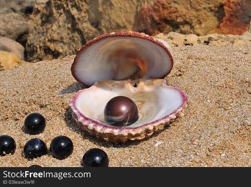 Seashell lay on the sand and a black ball inside the glass and close by are a few small black balls