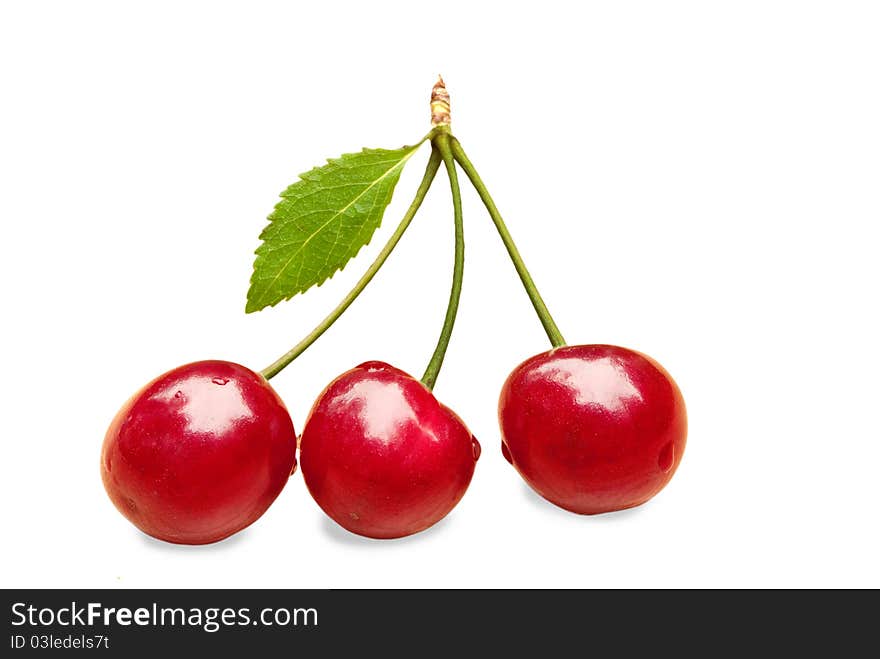 Three cherries isolated on a white background