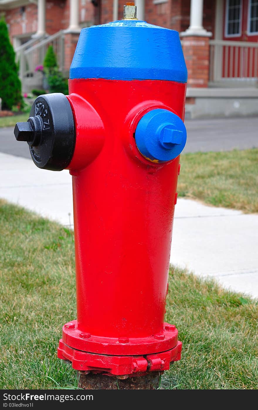 Residential area fire hydrant with red bonnet and blue nozzle caps.