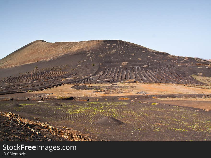 Lanzarote Landscape