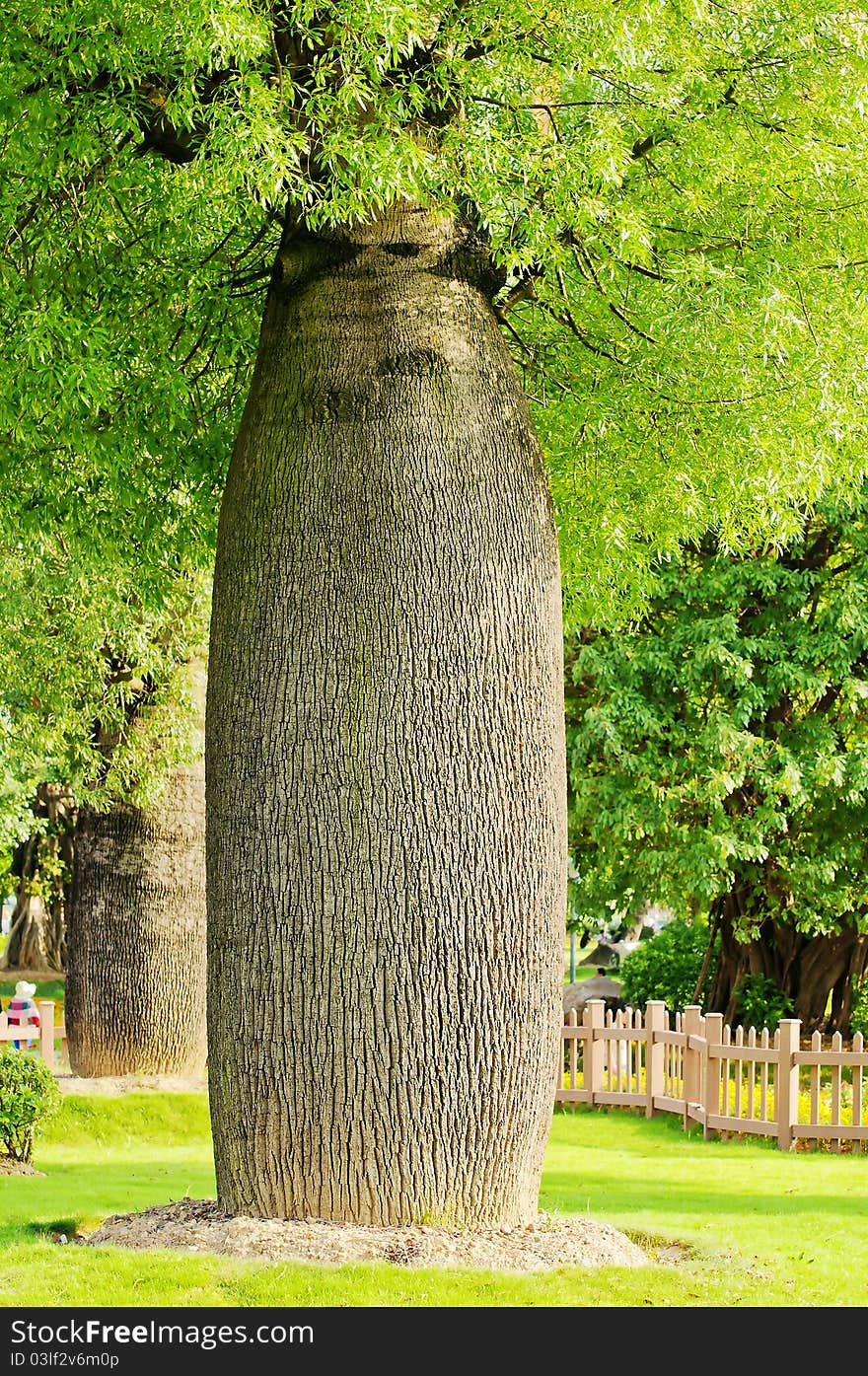 Bottle tree