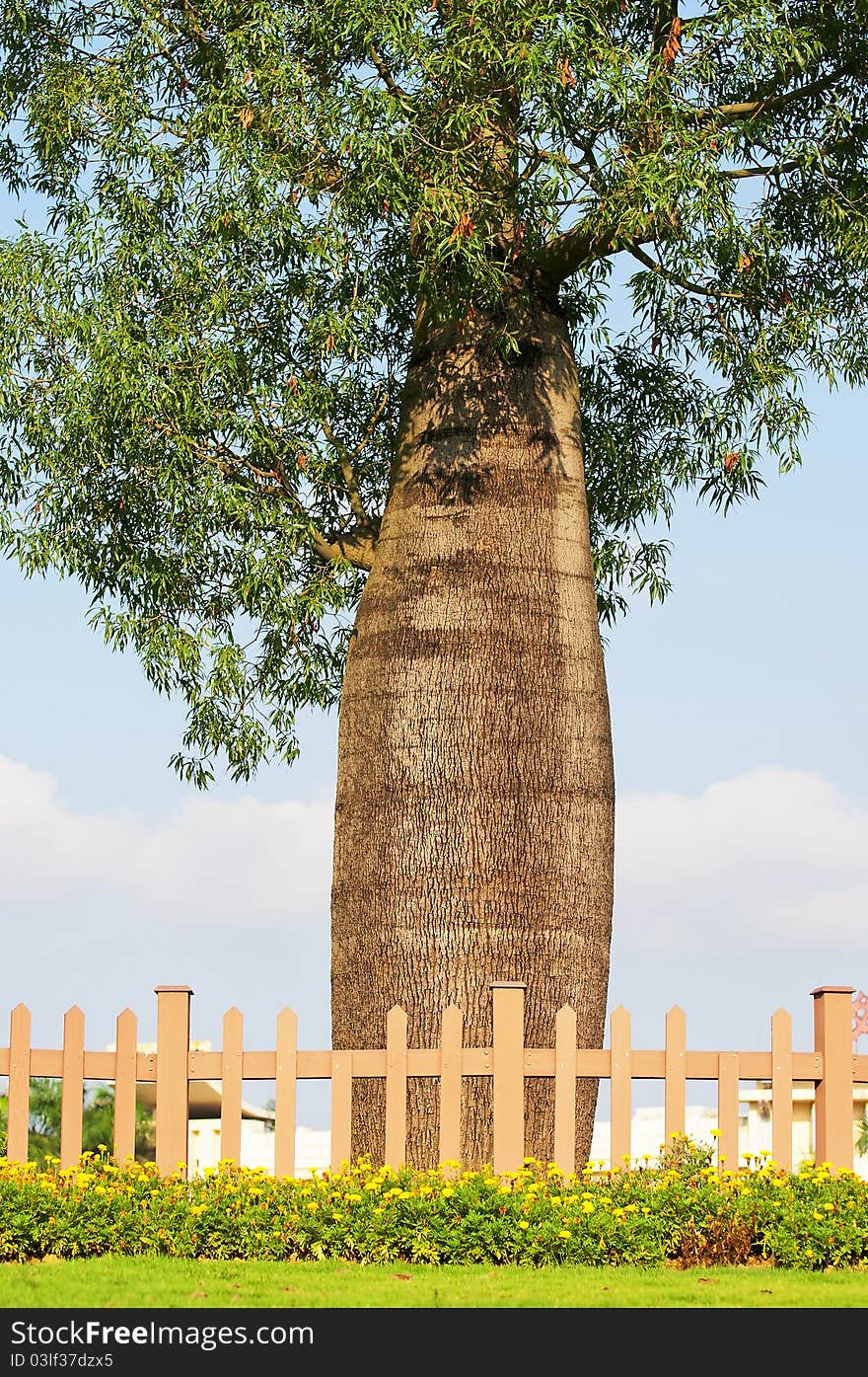 Bottle tree