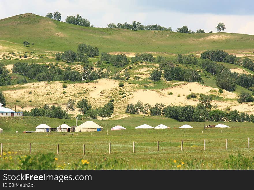 Landscape  of   grassland