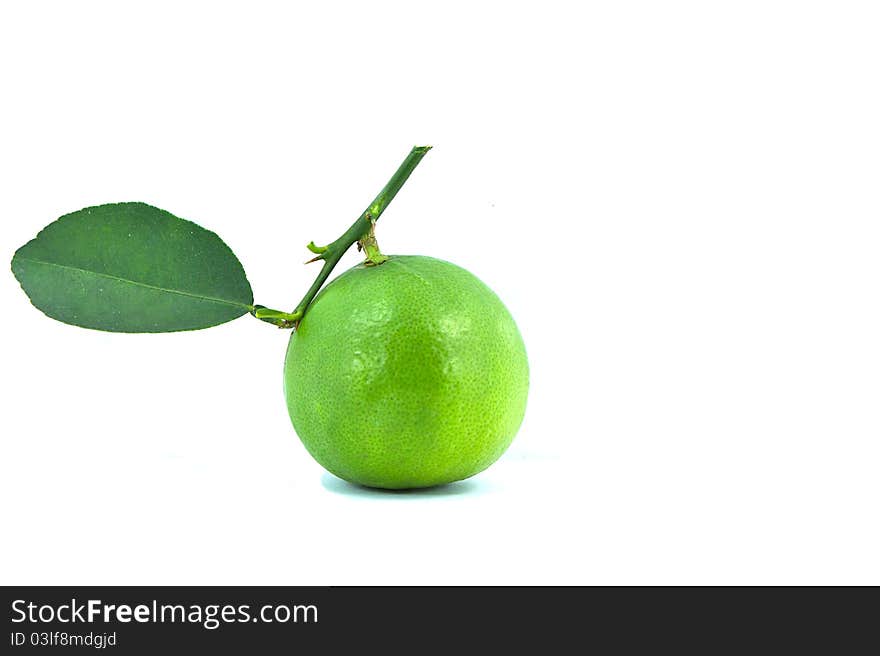 Fruit green healthy isolated juicy leaf lemon. Fruit green healthy isolated juicy leaf lemon